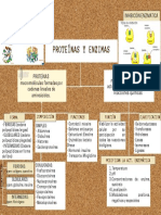 Organizador Grafico