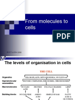 From Molecules To Cells: © 2007 Paul Billiet ODWS