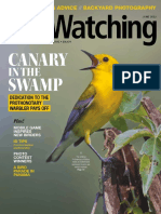 BirdWatching - Usa May - June.2022