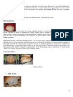 Pdfcoffee.com Paine de Casa PDF Free