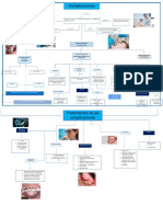 Mapa 2 Complicaciones en Tratamientos de Cancer Bucal.