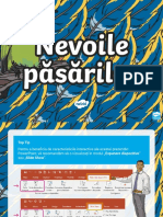 Ds 1645342726 Nevoile Pasarilor Prezentare Powerpoint - Ver - 2