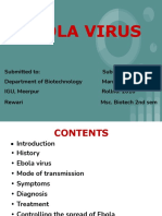 My Ebola Virus