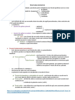 Țesuturile Definitive.