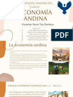 Economia Andina