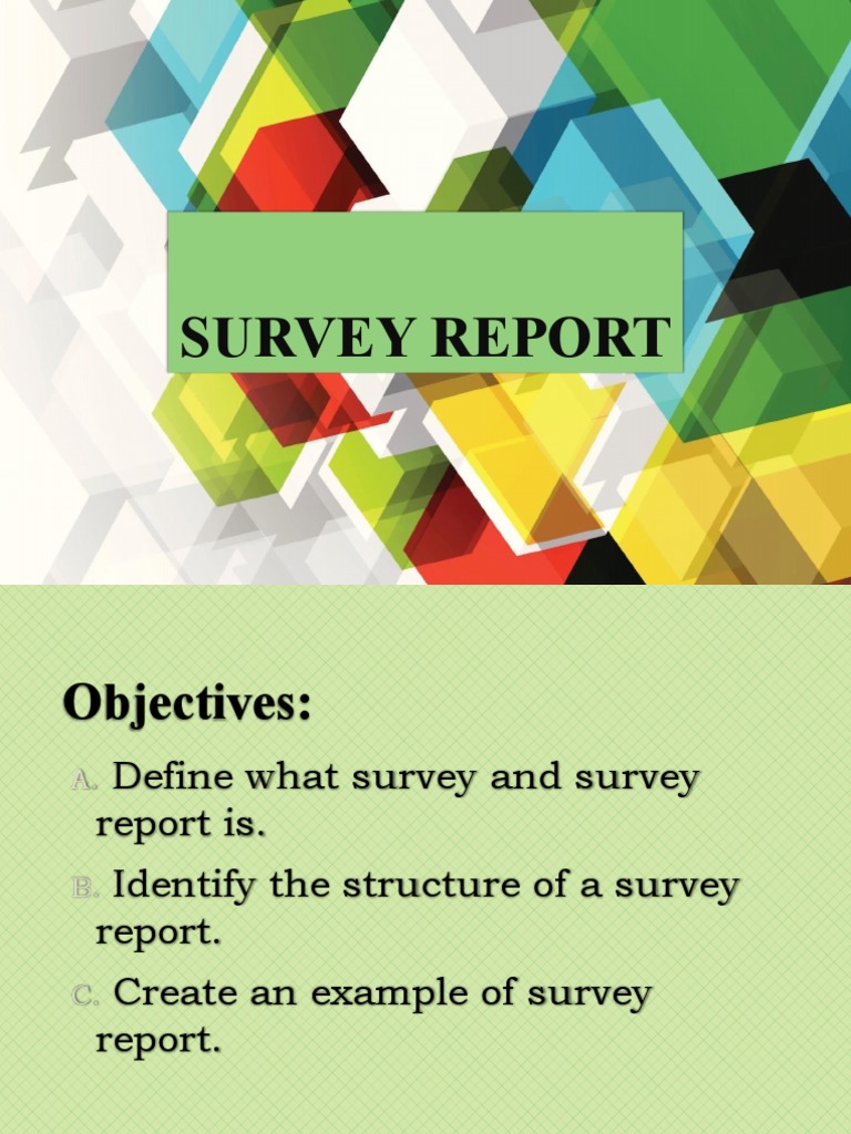 Survey Report | PDF