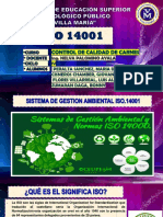 Iso 14001 - Grupo