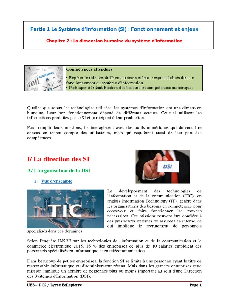 Dimension humaine du système d'information | PDF | Système d ...