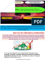 Sesion 11 Teo - Ing. Ambiental, Indicadores Ambientales Globales