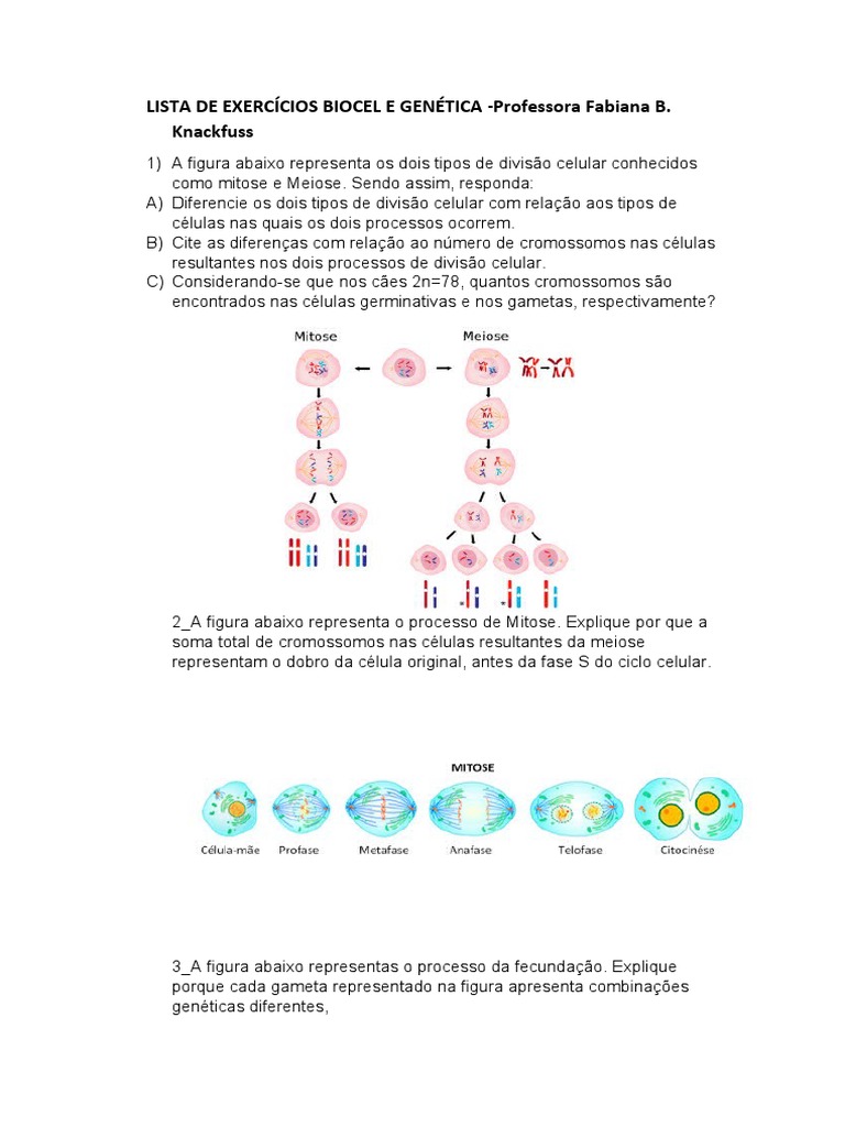 Lista de Exercícios Divisão Celular | PDF | Meiose | Mitose