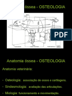 Morfo Osteologia