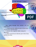 Brain Parts, Processes and Functions