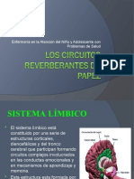 Los Circuitos Reverberantes de Papez