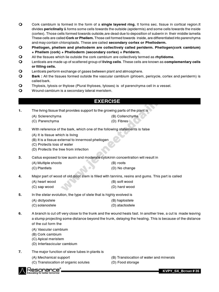 Plant Anatomy | PDF | Plant Stem | Tissue (Biology)