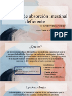 Síndrome de Absorción Intestinal Deficiente