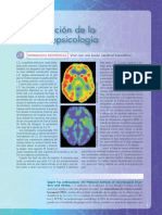Neuropsicología Humana 7a. Edición (Bryan Kolb)