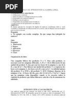 Apuntes 1 AL_Matrices