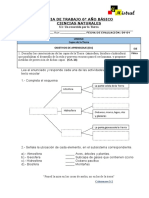 Ciencias 6° Capas