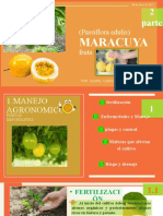 Cultivo de Maracuya