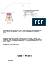 Skeletal System and Muscles Science Primary Checkpoint Notes