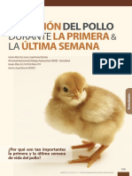 Nutricion de Pollos Primera y Ultima Semana CARGILL NUTRAL - Nutrinews Revista Noviembre 2014 2