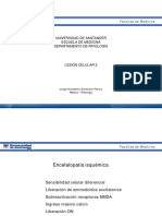 02. Lesión Celular 2 - Clase PDF