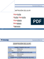 03. Adaptación Celular 1 - Clase PDF