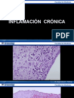 04. Inflamación Crónica - Clase (Wecompress.com)
