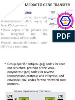 Retroviral Mediated Gene Transfer: Retrovirus