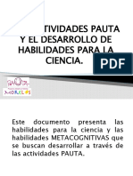 Actividades Pauta