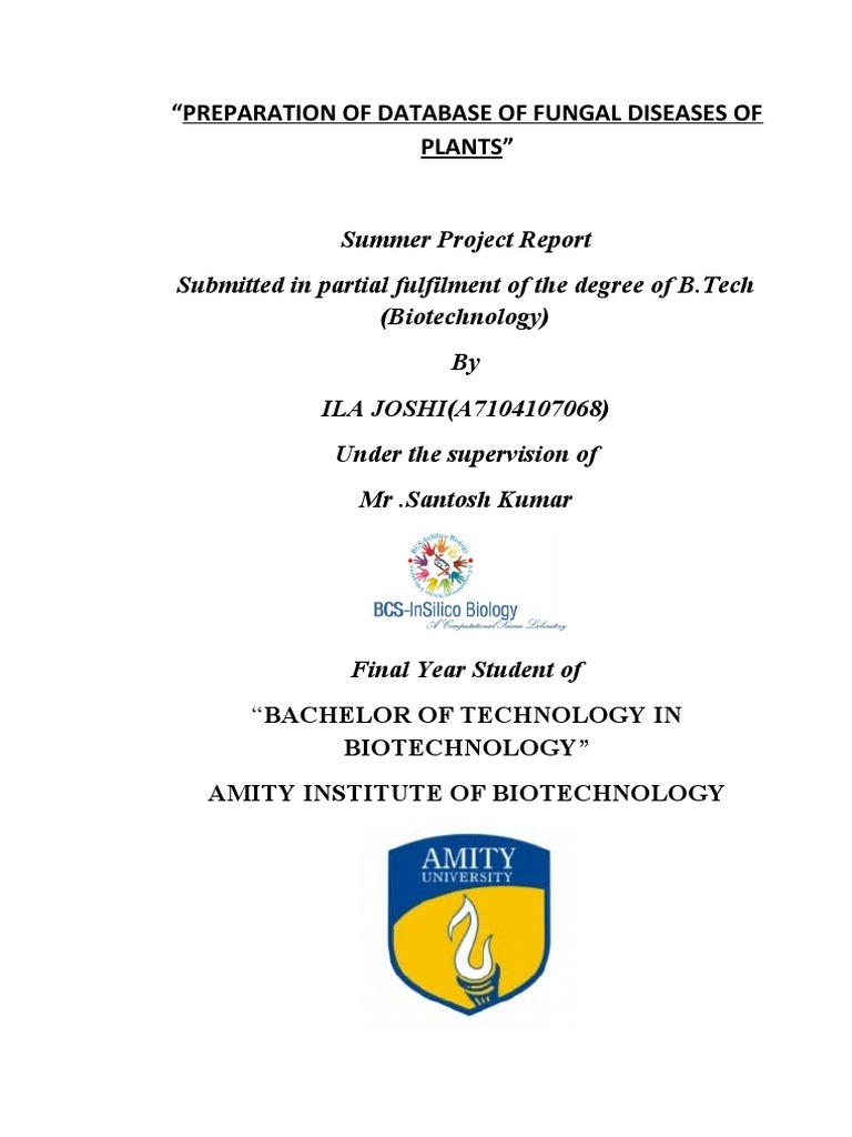 ms-project-reporting-top-ms-project-reports-seavus-project-viewer