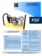 P100 Series: Portable Hydrostatic Tester