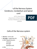 Histology of The Nervous System 2011