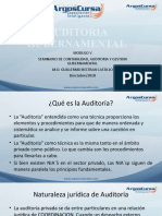 Modulo V Auditoria Gubernamental