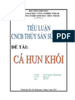 Ca Hun Khoi