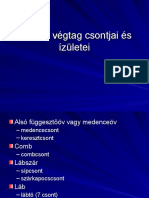 4 Az Alsó Végtag Csontjai És Ízületei