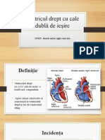 Ventricul Drept Cu Cale Dublă de Ieșire