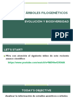 Genética Y Árboles Filogenéticos: Evolución Y Biodiversidad