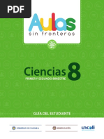 Cien 8 Vol1 Est Web Completo