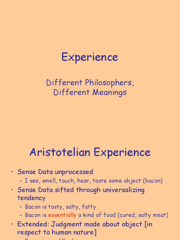 Philosophical Perspectives on Experience | PDF