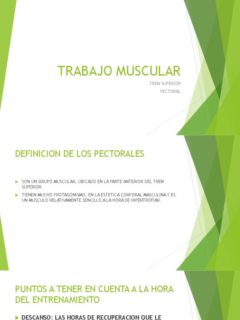 Guía de Entrenamiento de Pectorales | PDF | Codo | Sistema ...