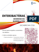 Aula  - Enterobactérias