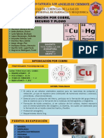 Intoxicación Por Cobre, Mercurio y Plomo