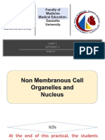 3 - Practical 3 Histology, Non Membranous Cell Organelles