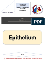 Types of Epithelium