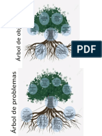 Arbol de Problemas y Objetivos