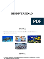 Biodiversidad Arrecifes Coralinos