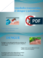 Dengue y Paludismo