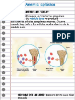 Presentación 12