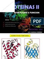 Proteinas II y III